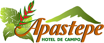 Hotel Apastepe
